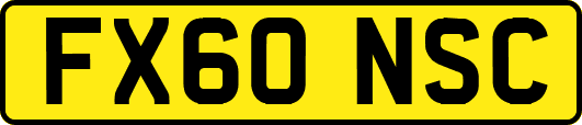 FX60NSC