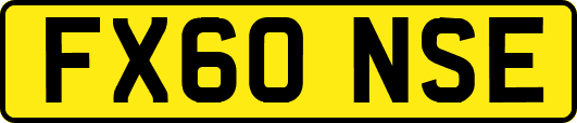 FX60NSE