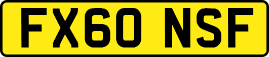 FX60NSF