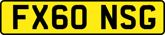 FX60NSG