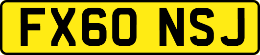 FX60NSJ
