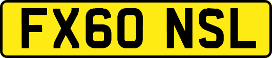FX60NSL
