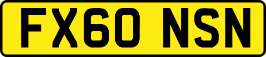 FX60NSN