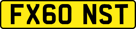 FX60NST