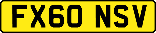 FX60NSV