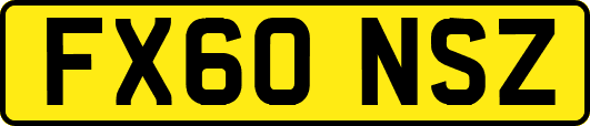 FX60NSZ
