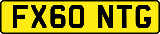 FX60NTG