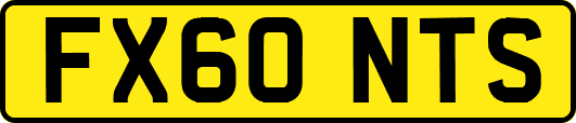 FX60NTS