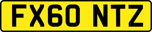 FX60NTZ