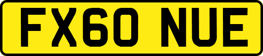 FX60NUE