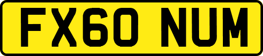 FX60NUM