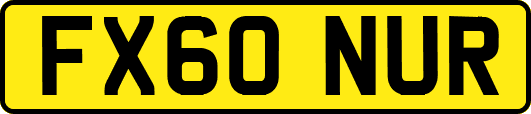 FX60NUR