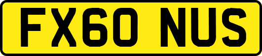 FX60NUS
