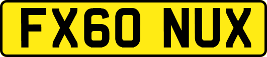 FX60NUX