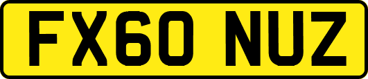 FX60NUZ
