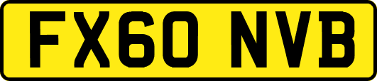 FX60NVB