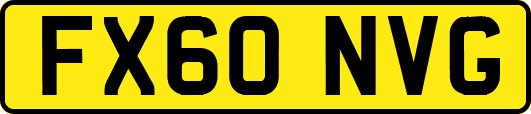 FX60NVG