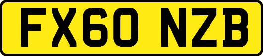 FX60NZB