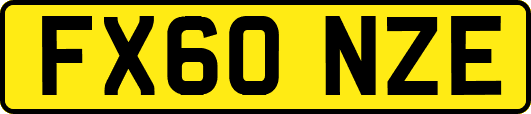 FX60NZE