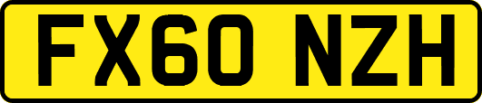 FX60NZH