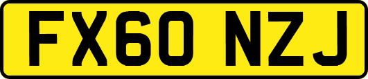 FX60NZJ