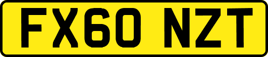 FX60NZT
