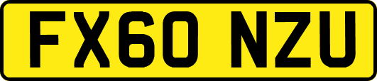 FX60NZU