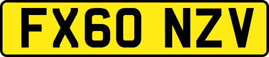 FX60NZV