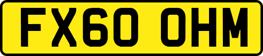 FX60OHM