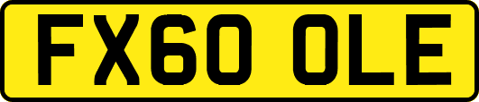 FX60OLE