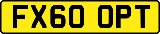 FX60OPT