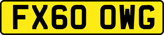 FX60OWG