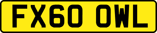 FX60OWL