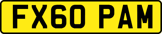 FX60PAM