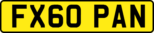 FX60PAN
