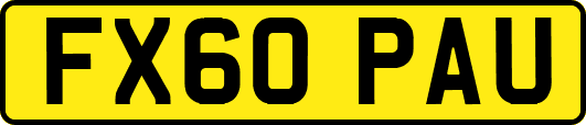 FX60PAU