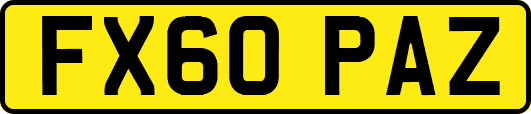 FX60PAZ