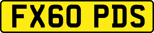 FX60PDS