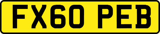 FX60PEB