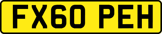 FX60PEH