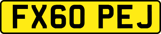 FX60PEJ