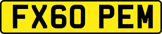 FX60PEM