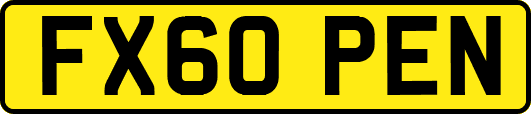 FX60PEN