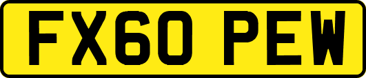 FX60PEW