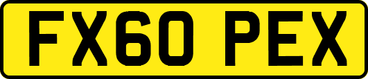 FX60PEX