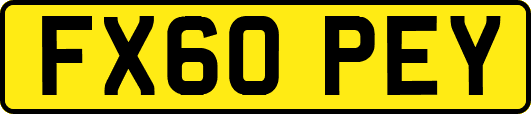 FX60PEY