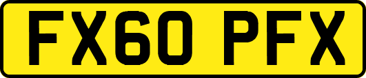 FX60PFX