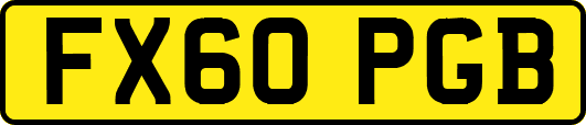 FX60PGB
