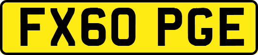 FX60PGE