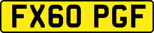 FX60PGF